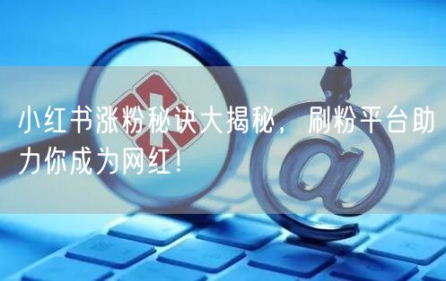 小红书涨粉秘诀大揭秘，刷粉平台助力你成为网红！