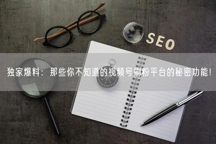 独家爆料：那些你不知道的视频号刷粉平台的秘密功能！