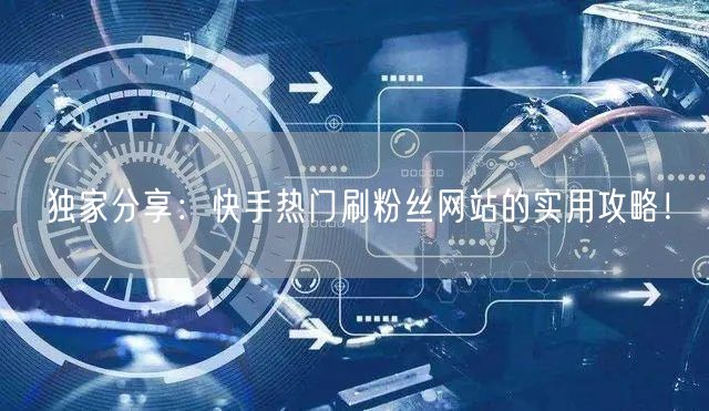 独家分享：快手热门刷粉丝网站的实用攻略！
