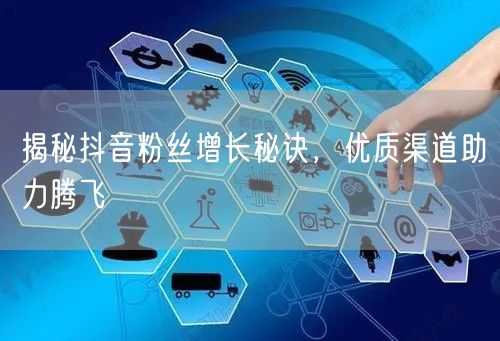 揭秘抖音粉丝增长秘诀，优质渠道助力腾飞