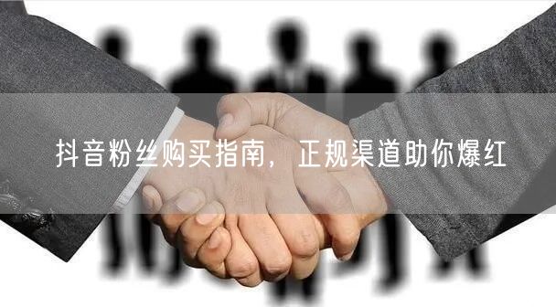 抖音粉丝购买指南，正规渠道助你爆红