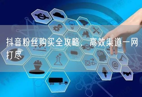 抖音粉丝购买全攻略，高效渠道一网打尽