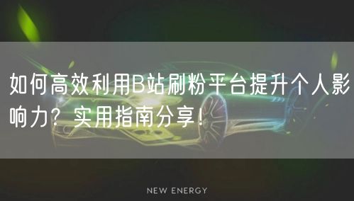如何高效利用B站刷粉平台提升个人影响力？实用指南分享！