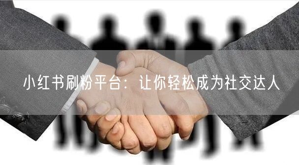 小红书刷粉平台：让你轻松成为社交达人